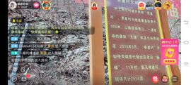 ……若主播照片