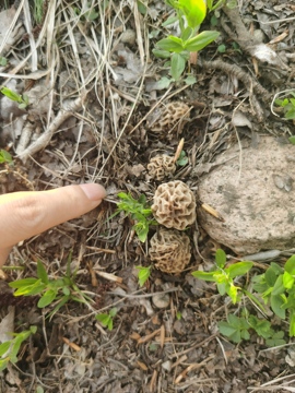 ღ瑋玮主播照片