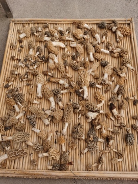 ღ瑋玮主播照片