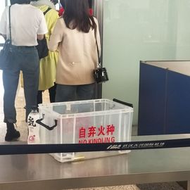 茶茶大吉大利的图片