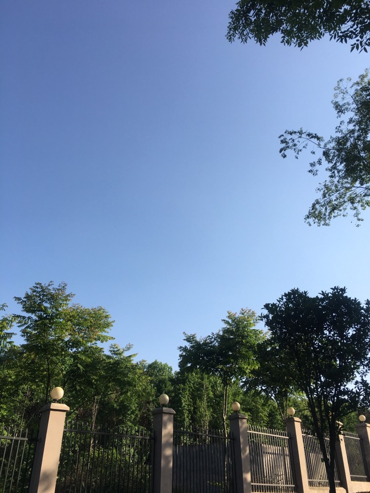 紫薇☆☆音乐频道的图片