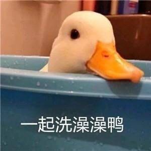 自闭儿童自闭了的主播照片