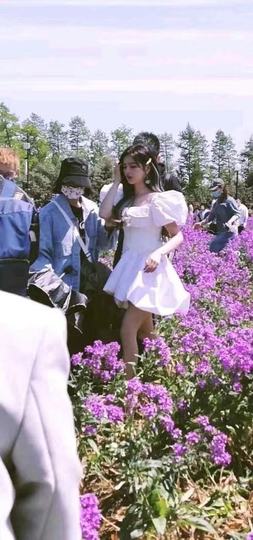 花房~❥❀花开❀主播照片