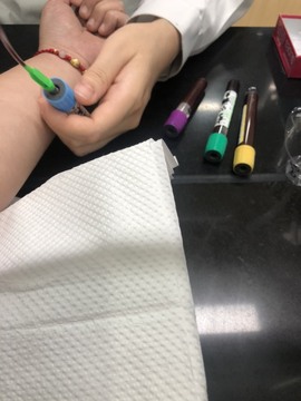 小海屯🐬李主播照片