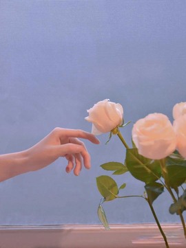 柒柒♥小胖子主播照片