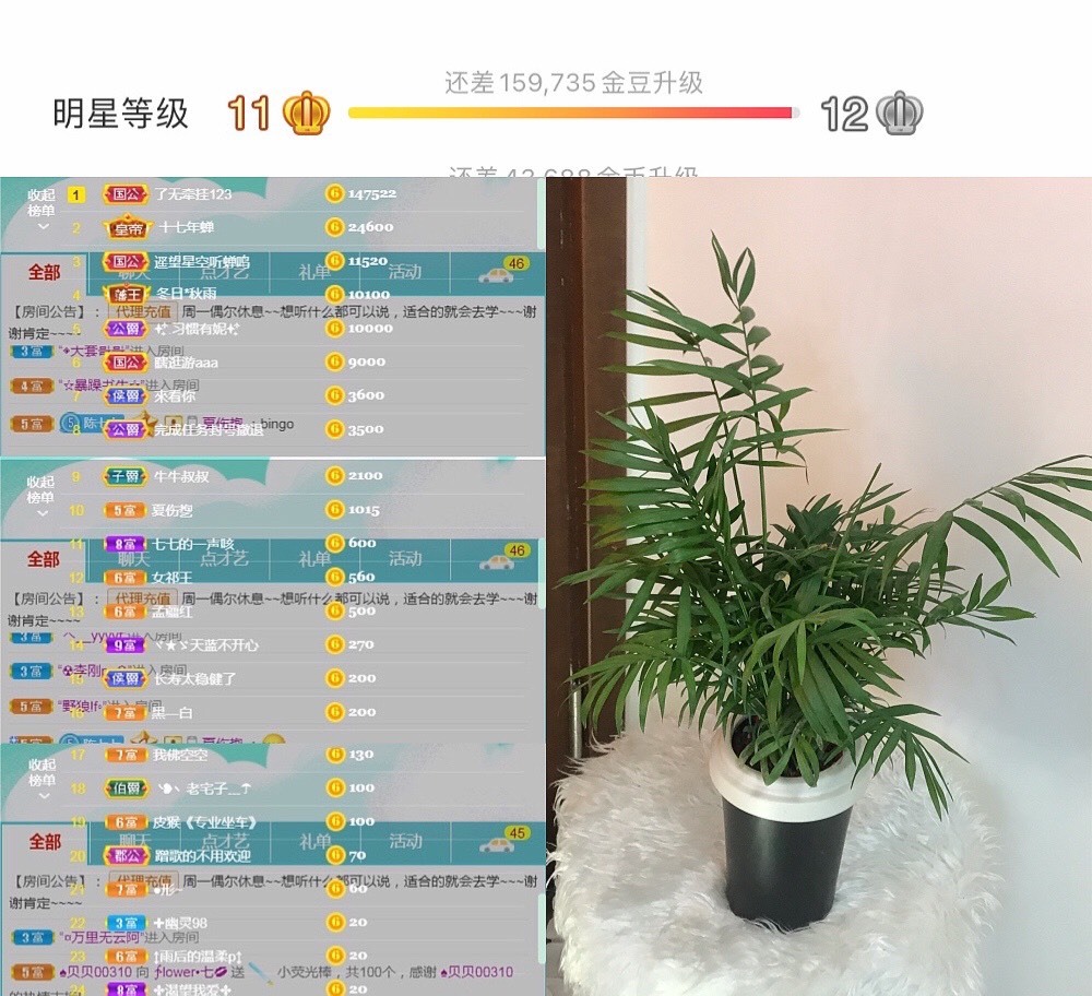 🌻ℱ七-安静唱歌的图片