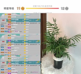 🌻ℱ七-安静唱歌主播照片