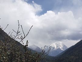 阿年🍁🎤的图片