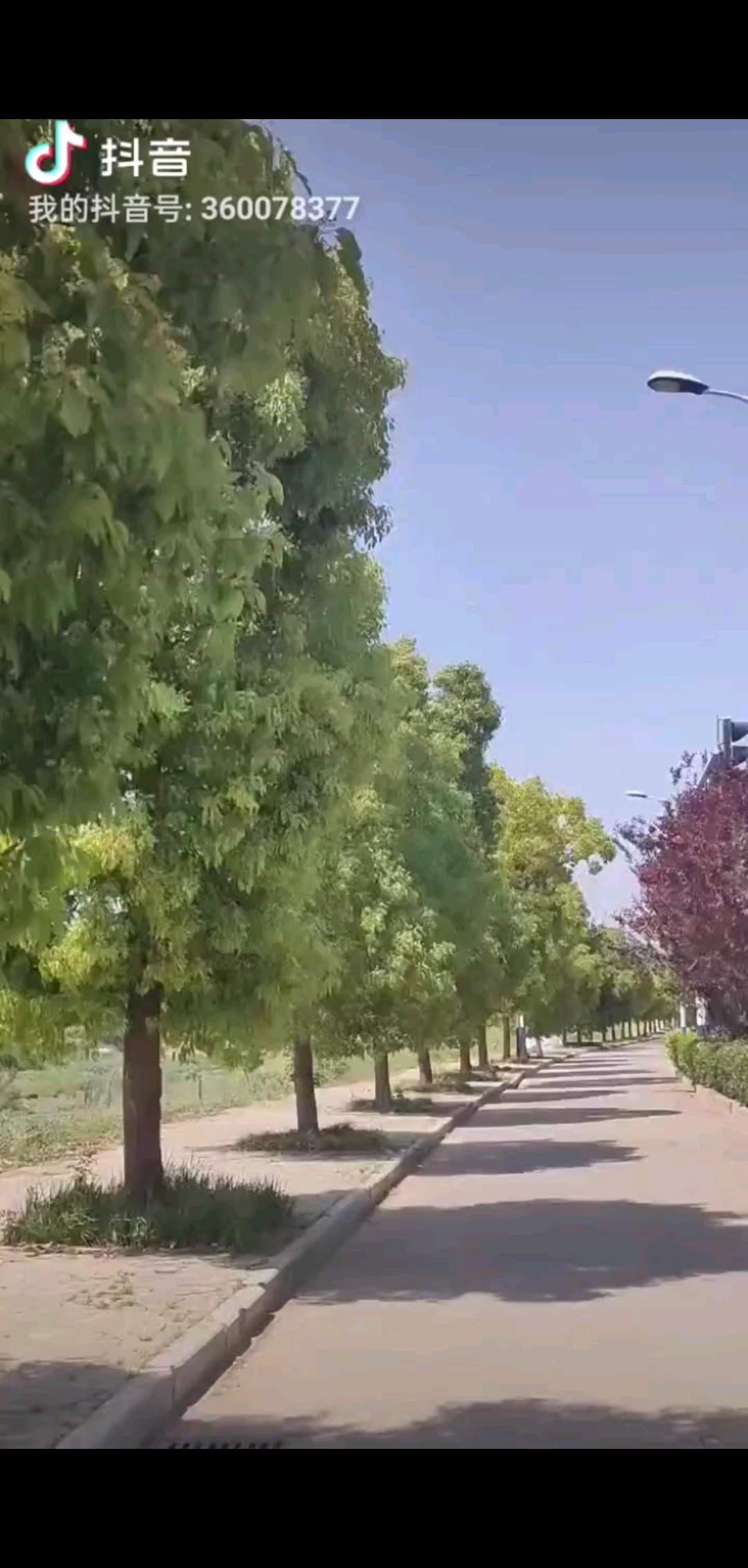 早安☀