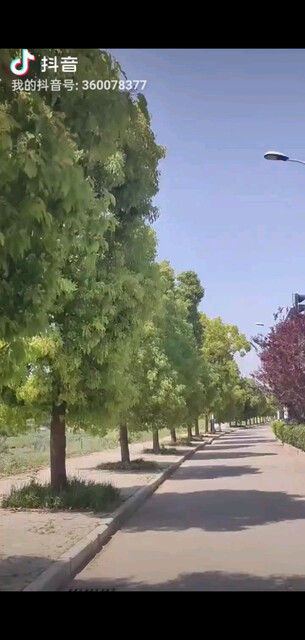 早安☀