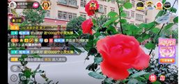 ……若主播照片