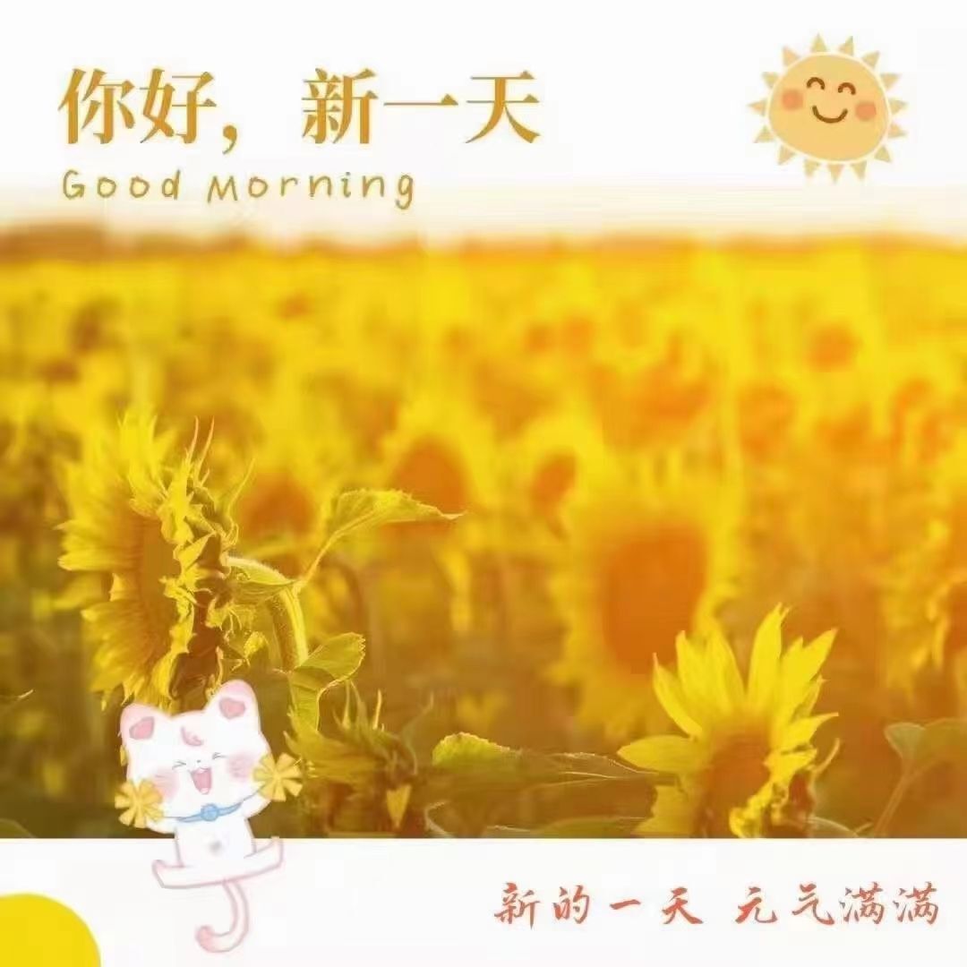 安琪同学的图片