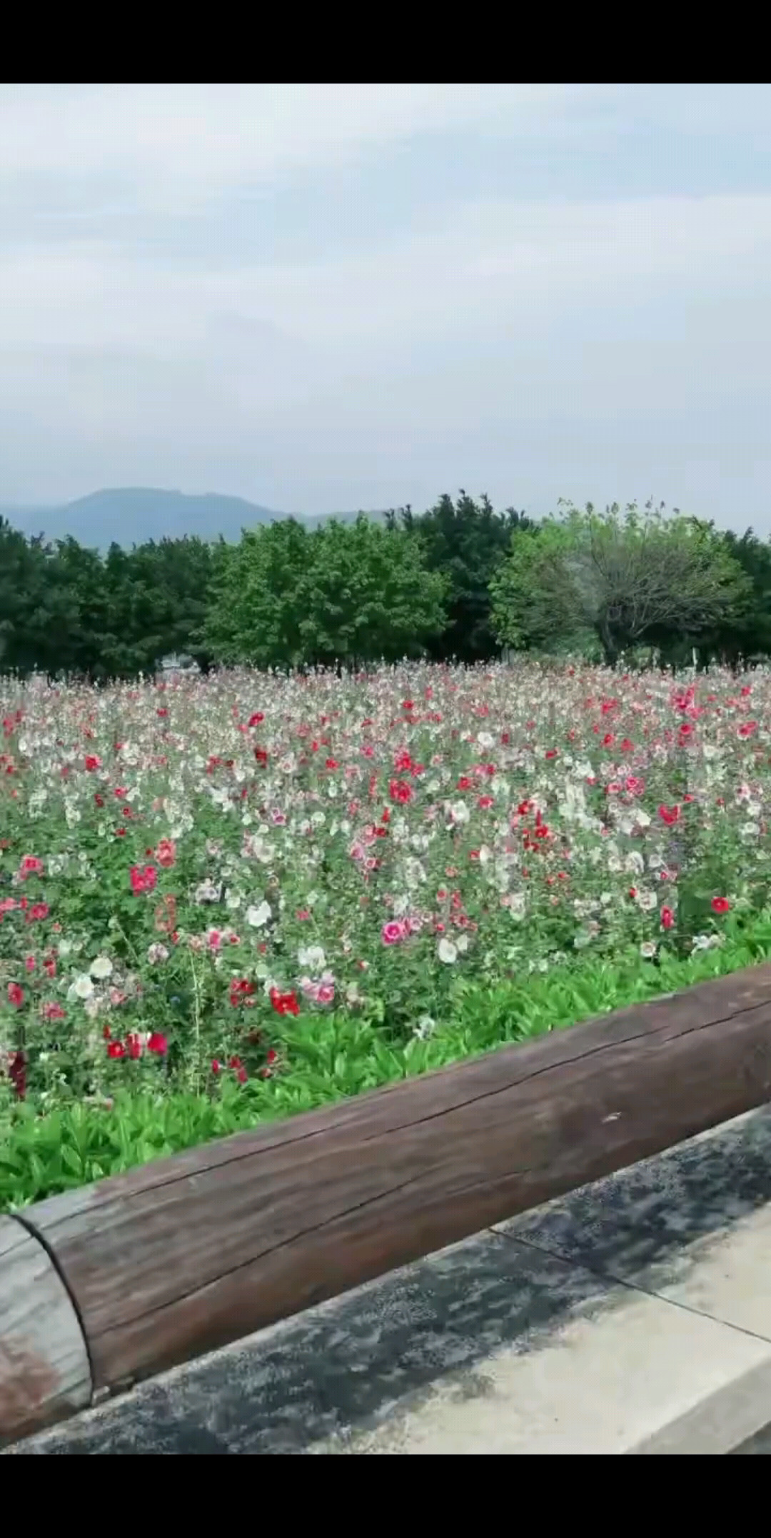。。。。。