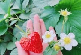 跑调嘉💟休主播照片
