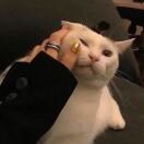 你的沁水