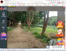 保利哥主播照片