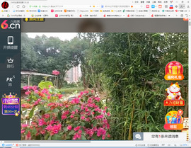 保利哥主播照片