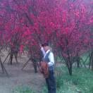 3abelnpqsw海报