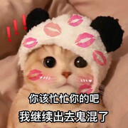 西凉铁骑——结扎猫