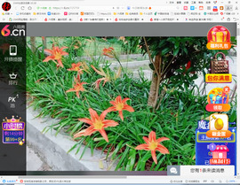 保利哥主播照片