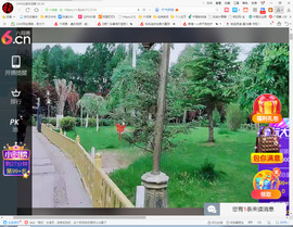 保利哥主播照片