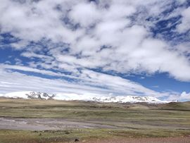 ……若主播照片