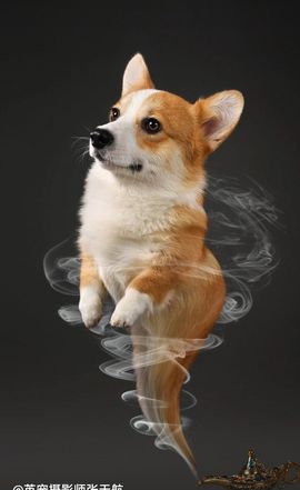 ╰╮玲珑╭╯主播照片