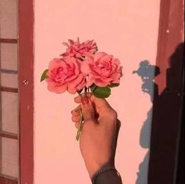 ━☆简希づ休息中主播照片