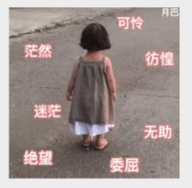 曼曼🌙暂停直播主播照片