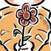 千禾喵喵