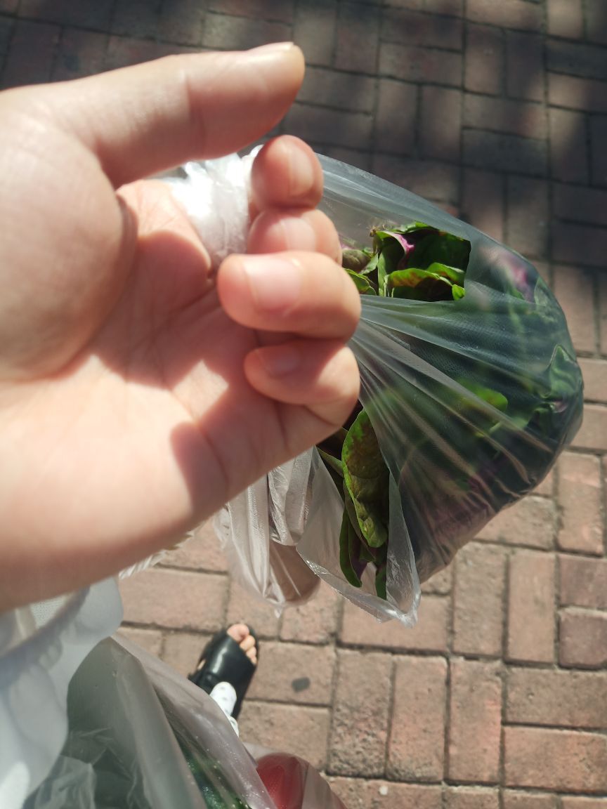 果果(平安好运)的图片