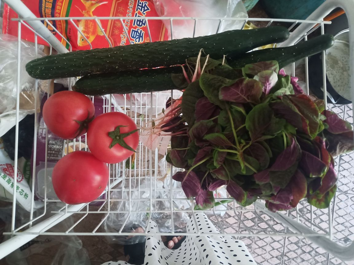 果果(平安好运)的图片