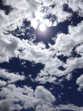 ……若主播照片