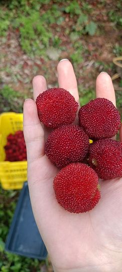 墨墨随缘播主播照片