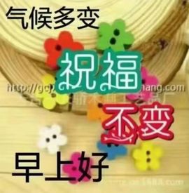 ……若主播照片