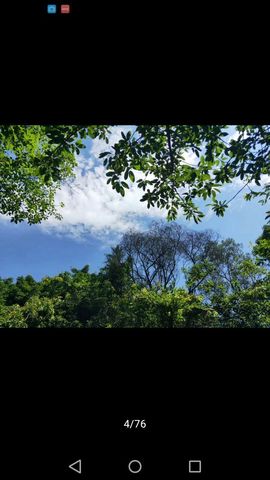 明月几时有。。主播照片