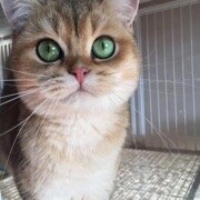 难熬、b