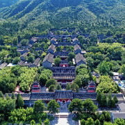 须弥峰一介子头像