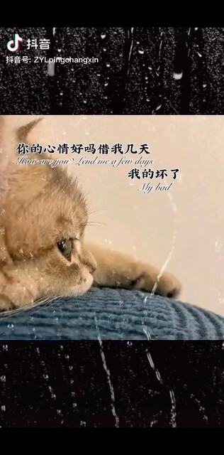 /审视