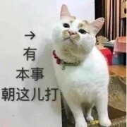 在下茅十八