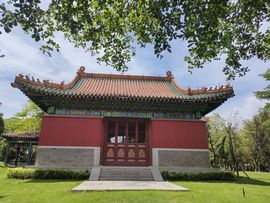 广西玲玲🌻的图片
