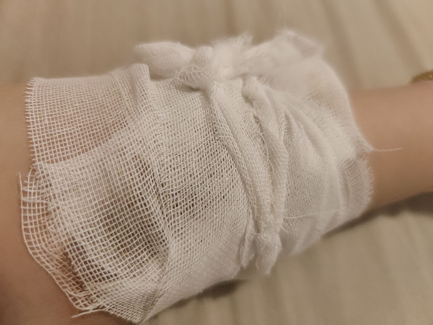 💦念初💫18点播的图片
