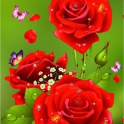 Mobw83567I