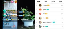 云南壹姐主播照片