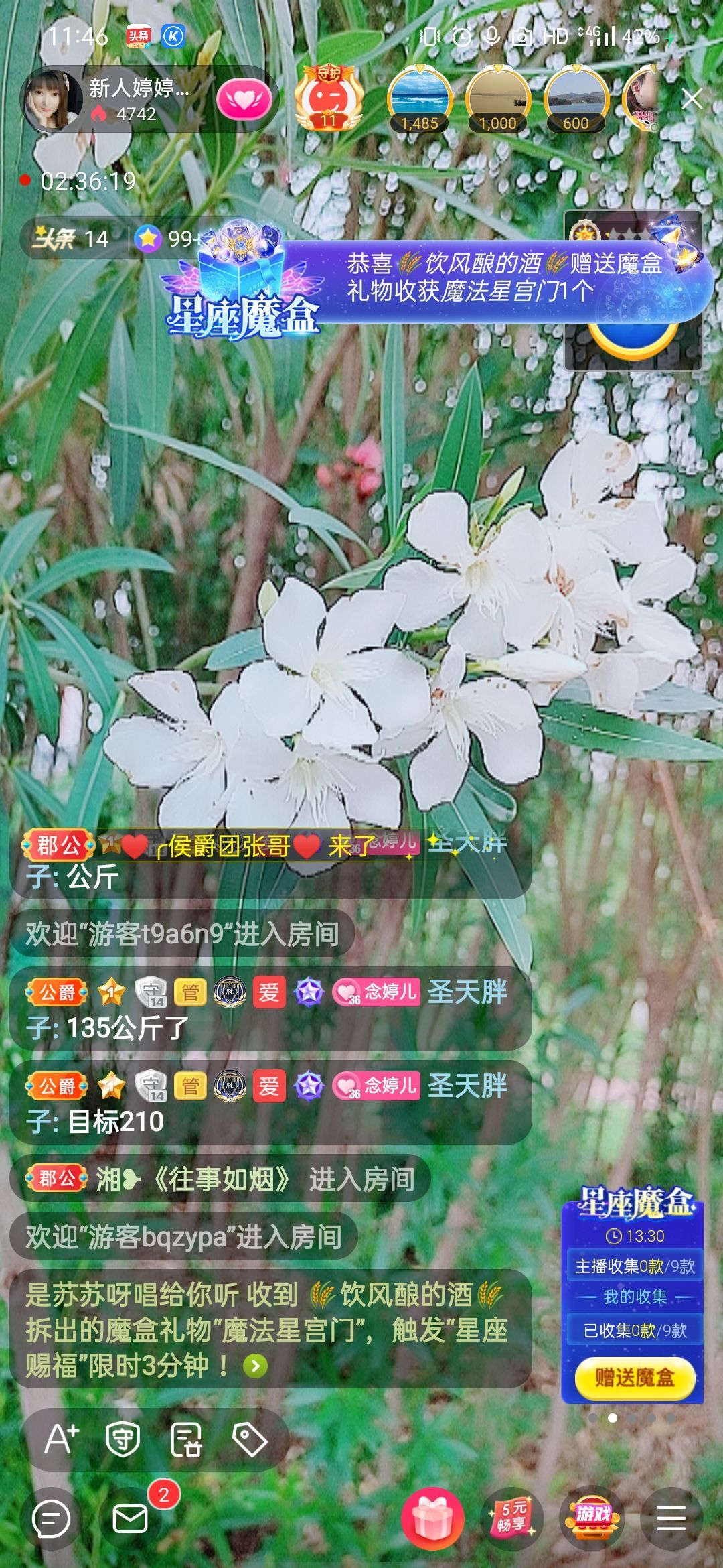 婷婷💕感恩有你陪伴的图片