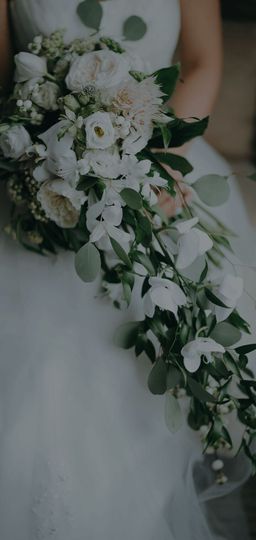 王丽13主播照片