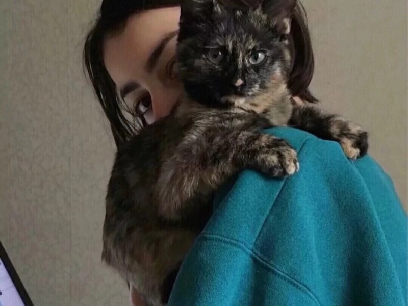 林婉儿🐬的主播海报