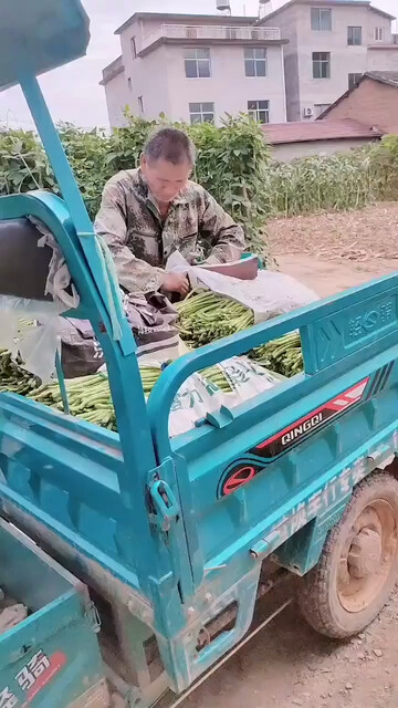 我这几天行动不便，在
