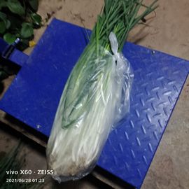云南壹姐主播照片