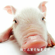 吃货🐽猪猪^O^